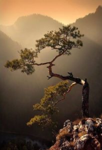 Séance de Relaxation de 18h30 à 20h le mardi 19 février 2019 @ Mairie de Vendenheim
