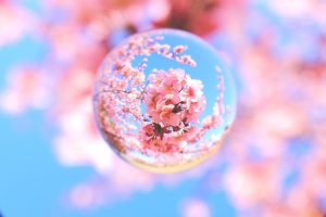 Séance de Relaxation de 18h30 à 20h le mardi 19 février 2019 @ Mairie de Vendenheim
